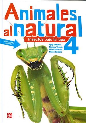 ANIMALES AL NATURAL 4. INSECTOS BAJO LA LUPA