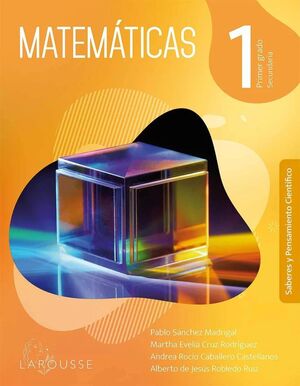 MATEMÁTICAS 1 SECUNDARIA NEM